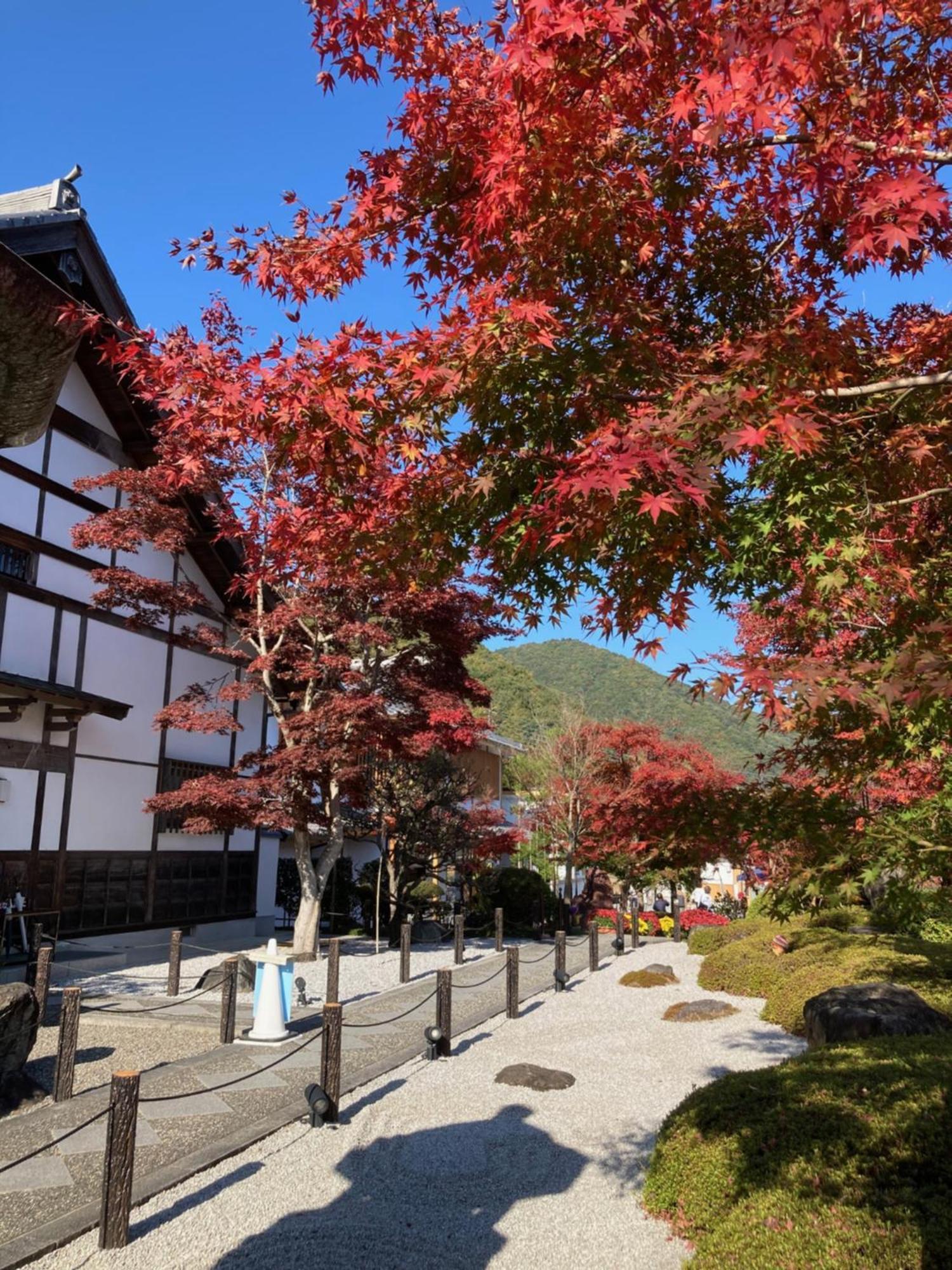 Sky Tree Inn Tokyo Exterior photo